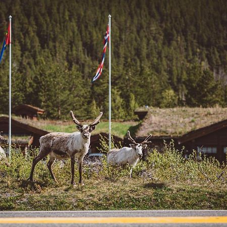 Storjord Saltdal Turistsenterヴィラ エクステリア 写真