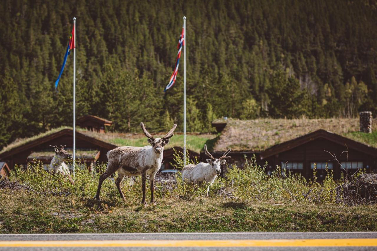 Storjord Saltdal Turistsenterヴィラ エクステリア 写真