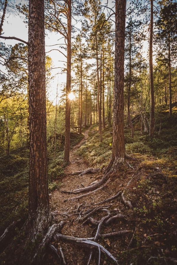 Storjord Saltdal Turistsenterヴィラ エクステリア 写真