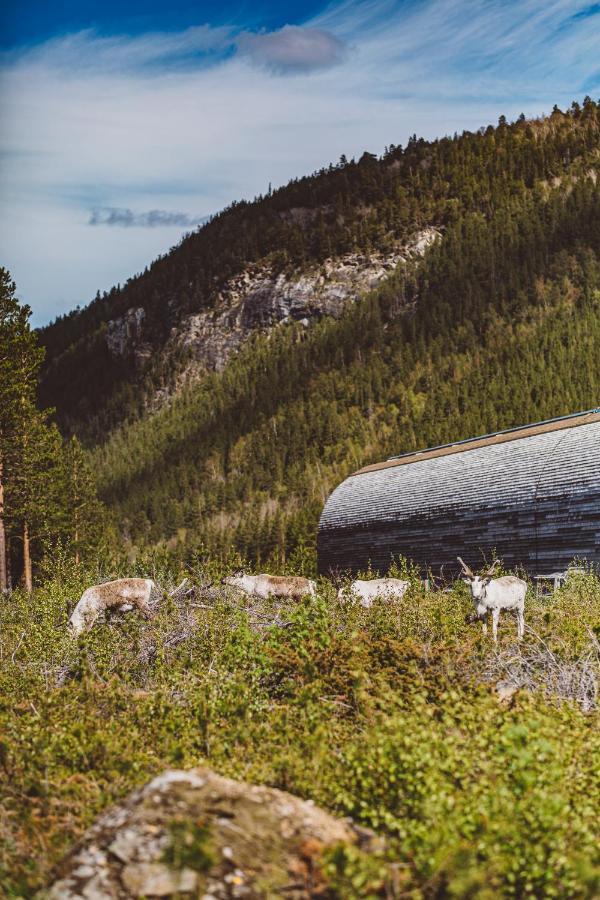 Storjord Saltdal Turistsenterヴィラ エクステリア 写真