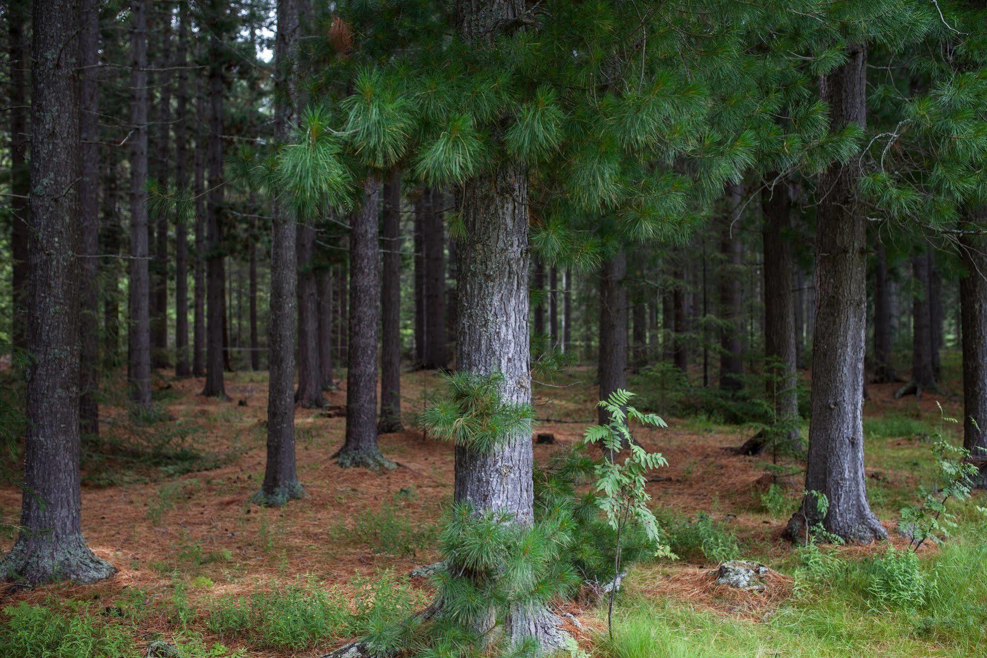 Storjord Saltdal Turistsenterヴィラ エクステリア 写真